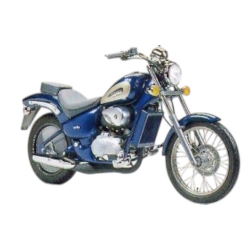 CLASSIC 125