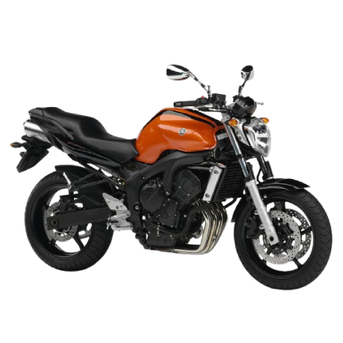 FZ6