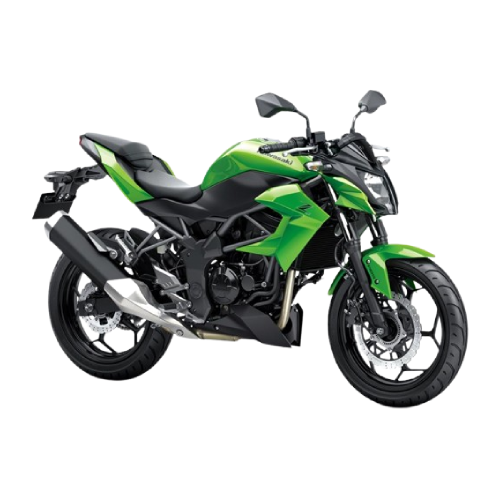 Z 250