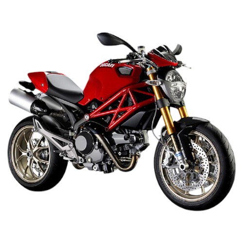 Monster 1100 2009–2013
