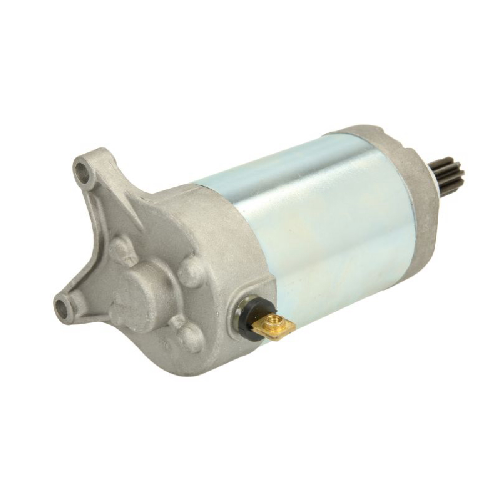 ELECTROMOTOR YAMAHA XV 250 1989-2008 2 ELECTROMOTOR YAMAHA XV 250 1989-2008 - imagine 2