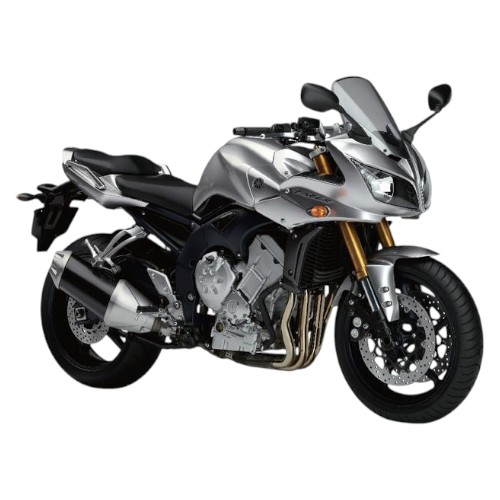FZS 1000 FAZER 2001–2005