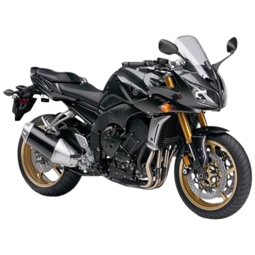 FZ1