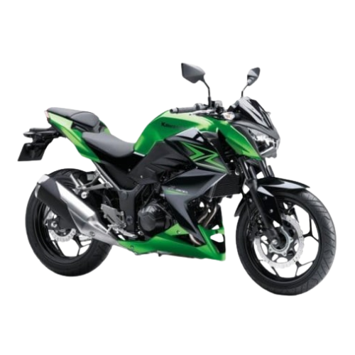 Z 300