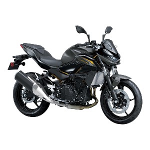 Z 500